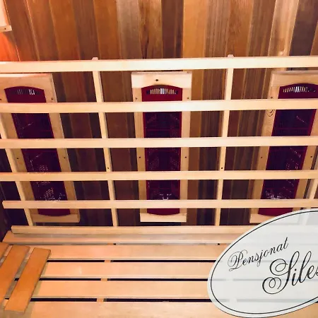 Silesia Bed & Breakfast Wisla