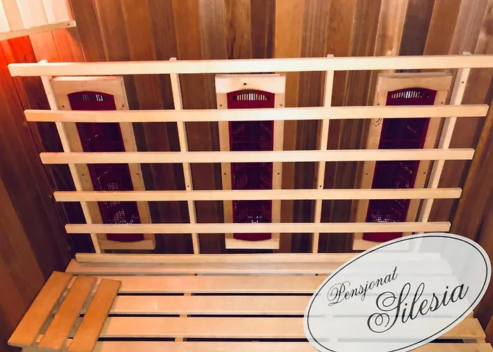 Silesia 住宿加早餐酒店 维斯拉