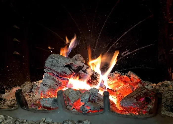 住宿加早餐酒店 Silesia 维斯拉